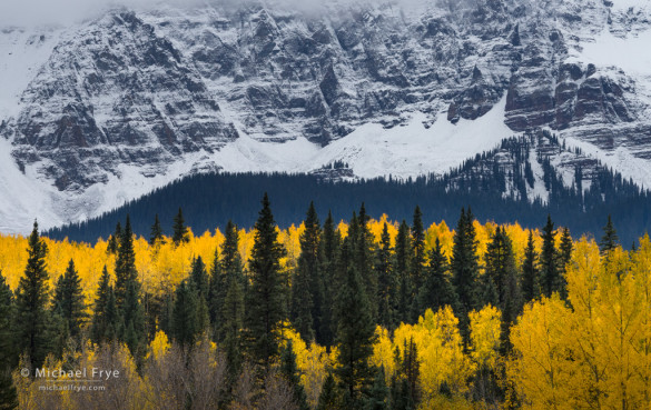 Aspens and a snow-covered mountainside, Uncompahgre NF, CO, USA