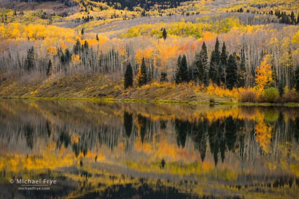 Aspens, firs, and reflections, Woods Lake, Uncompahgre NF, CO, USA
