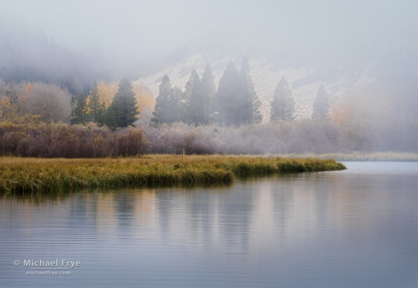 Trees in fog, autumn, North Lake, Inyo NF, CA, USA