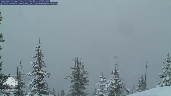 An image from the Sentinel Dome webcam on Saturday afternoon