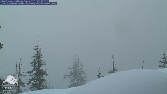 The Sentinel Dome webcam at about 2:00 p.m. this afternoon