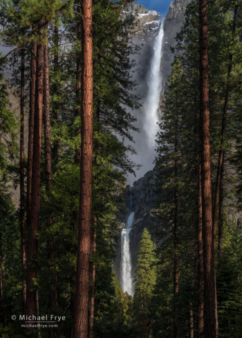 Morning sunlight on Yosemite Falls, Yosemite NP, CA, USA