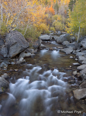 0210-6485 Creek below Lake Sabrina, Sunday morning