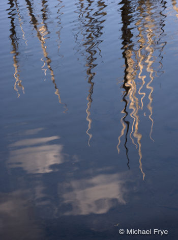 0210-6508 Reflections in a Lundy Canyon beaver pond, Sunday afternoon