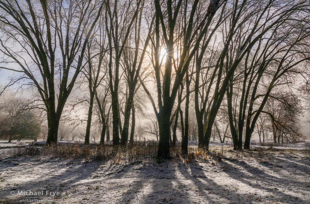 Staying Flexible on a Snowy, Misty Morning