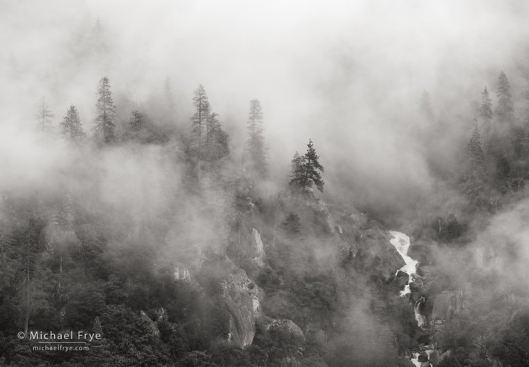 Pines, fog, and Cascade Creek, Yosemite NP, CA, USA