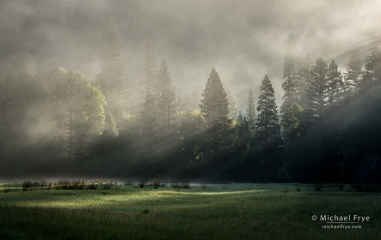 Sunbeams and fog in a Yosemite Valley meadow, Yosemite NP, CA, USA