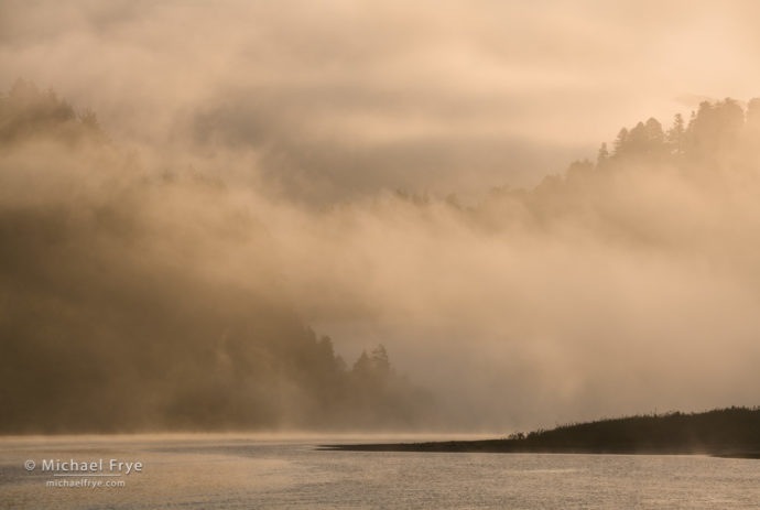Fog and mist along the Klamath River at sunrise, Redwood NP, CA, USA