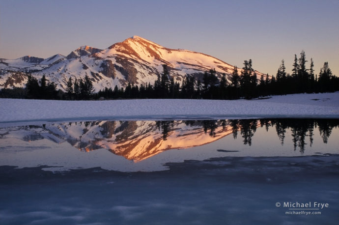 Mammoth Peak reflected in snowmelt pond, near Tioga Pass, Yosemite NP, CA, USA