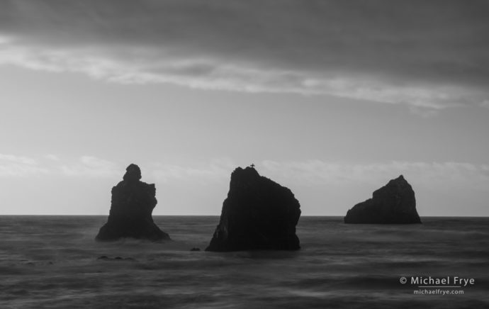 Sea stacks, clouds, and cormorant, Redwood NP, CA, USA