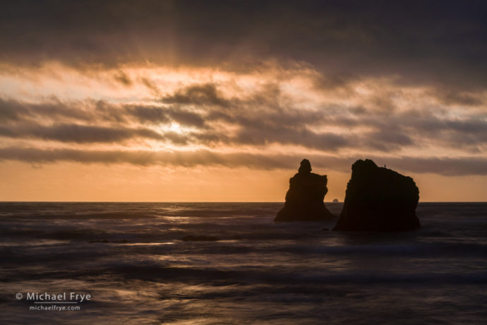 Sea stacks at sunset, Redwood NP, CA, USA