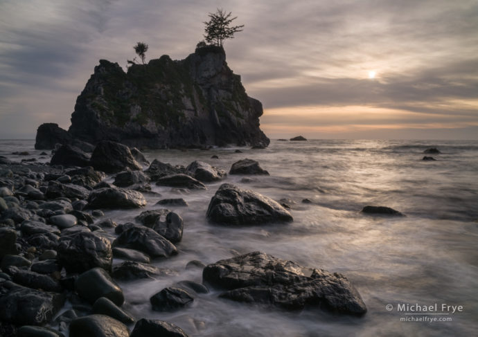 Late-afternoon sunlight on rocks and sea stacks along the Pacific coast, Redwood NP, CA, USA
