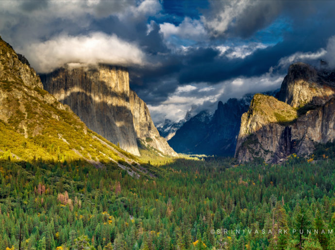 Cropping from the right to get rid of the tree brings the bright triangle of light on Middle Cathedral Rock right to the edge of the frame