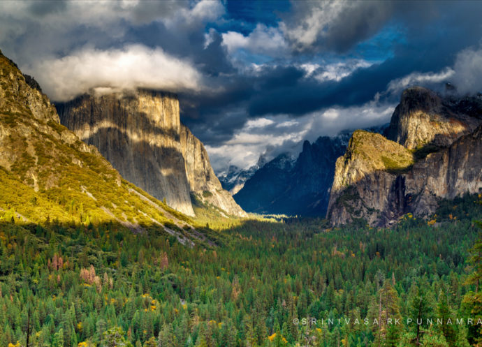 There's a sweet spot where you can crop off most of the tree, but not all of it, and leave a little breathing room between the triangle of light on the rocks and the right edge of the frame