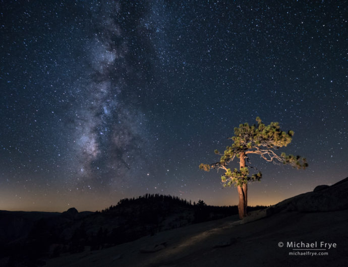 Jeffrey pine and the Milky Way, Yosemite NP, CA