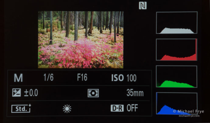 The RGB histogram on my Sony A7rII, showing clipping in the red channel