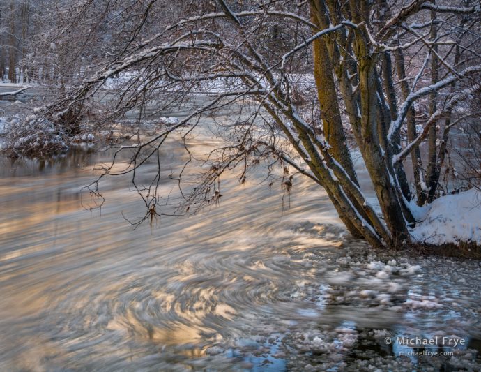 Wild Yosemite: Frazil ice underneath alders along the Merced River, Yosemite NP, CA, USA