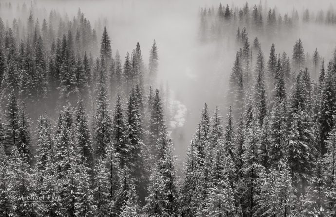 Trees, mist, and the Merced River, Yosemite NP, CA, USA