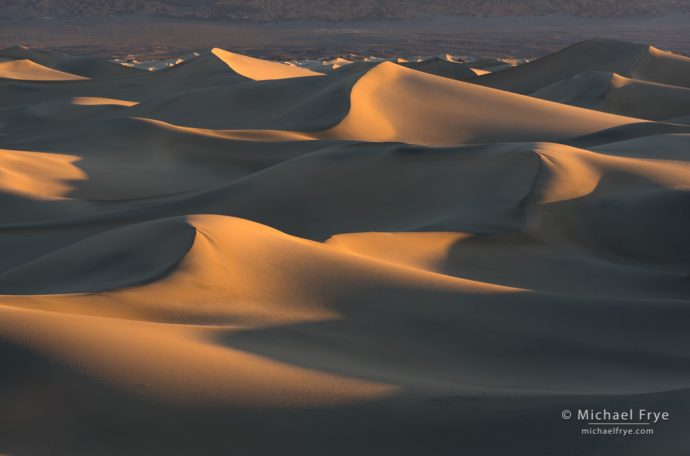 Sand dunes at sunrise, Death Valley NP, CA, USA