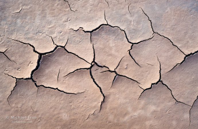 Mud cracks and bird tracks, Death Valley NP, CA, USA