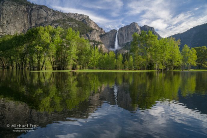 Flooded meadow reflecting Upper Yosemite Fall, Yosemite NP, CA, USA