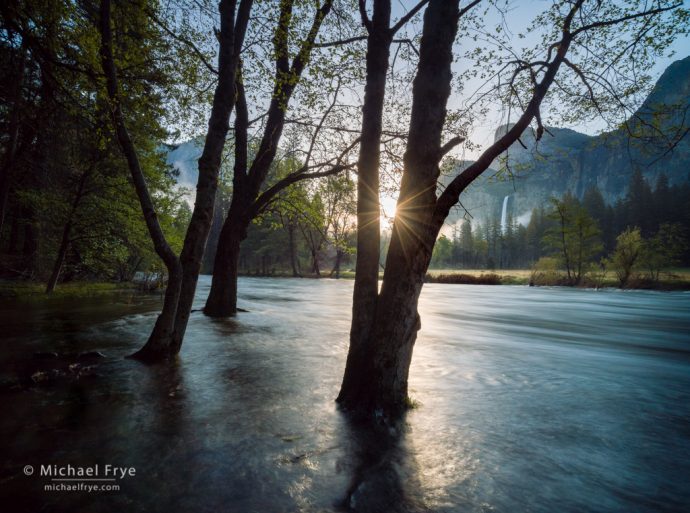 High water along the Merced River at sunrise, Yosemite NP, CA, USA