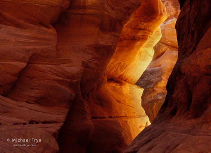 Buckskin Gulch, Vermillion Cliffs NM, Utah, USA