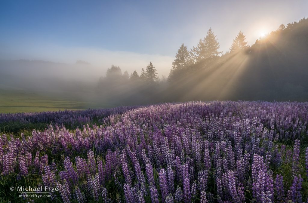 How to Get Everything in Focus