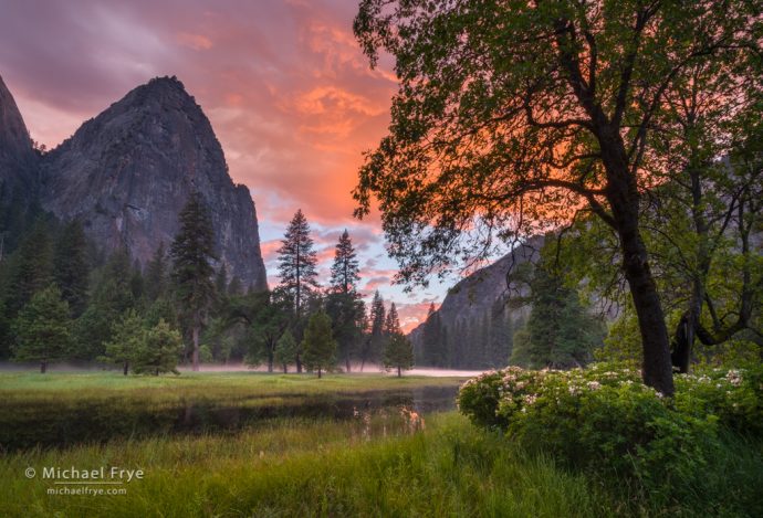 Sunset in El Capitan Meadow with oaks, pines, azaleas, and Lower Cathedral Rock, Yosemite NP, CA, USA