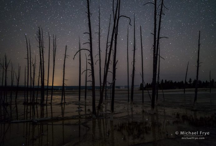 Trees and stars, Lower Geyser Basin, Yellowstone NP, WY, USA