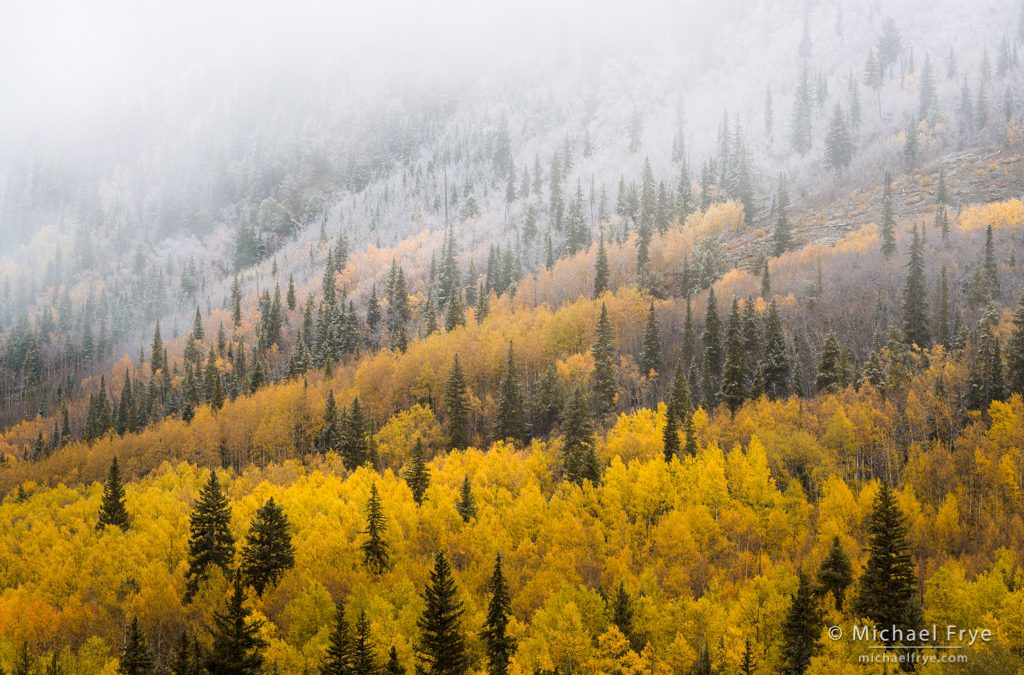 Colorado Autumn