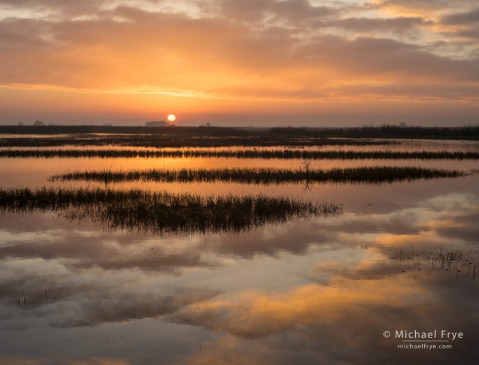 Color is not Enough for Cohesive Design: Repeating Patterns, Sunrise in a San Joaquin Valley marsh, CA, USA