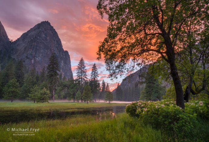 22. Sunset in El Capitan Meadow with oaks, pines, azaleas, and Lower Cathedral Rock, Yosemite NP, CA, USA