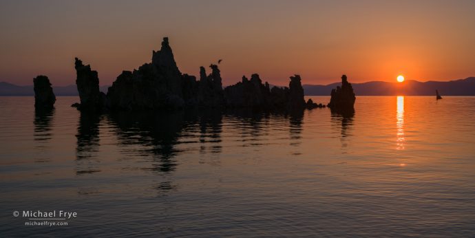 Osprey bringing a fish back to its nest at sunrise, Mono Lake, CA, USA