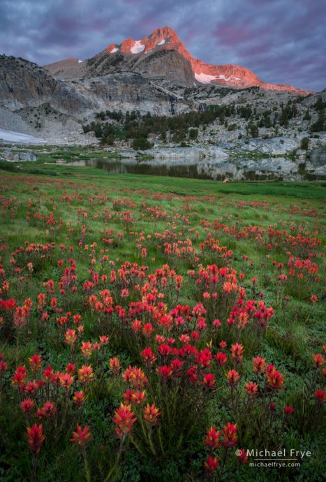 Paintbrush and peak, sunrise, Inyo NF, CA, USA