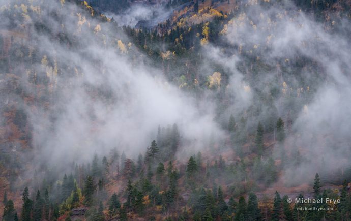 Mist and autumn colors in the Uncompahgre Gorge, CO, USA