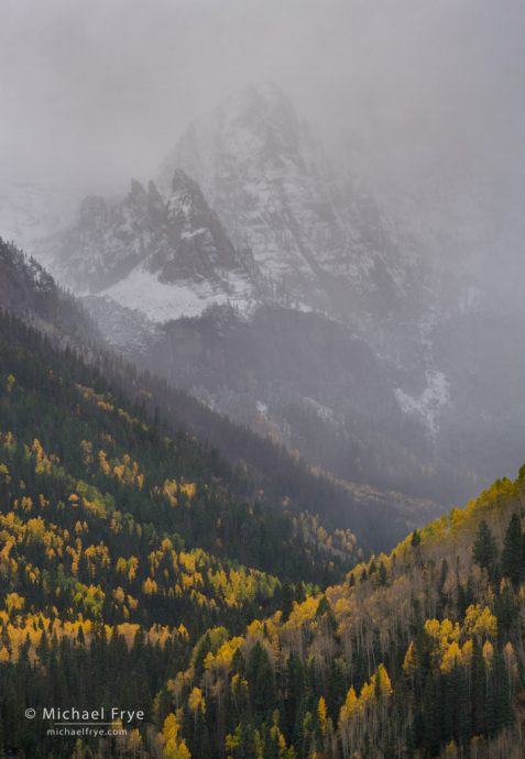 Aspens and peak above Telluride, CO, USA