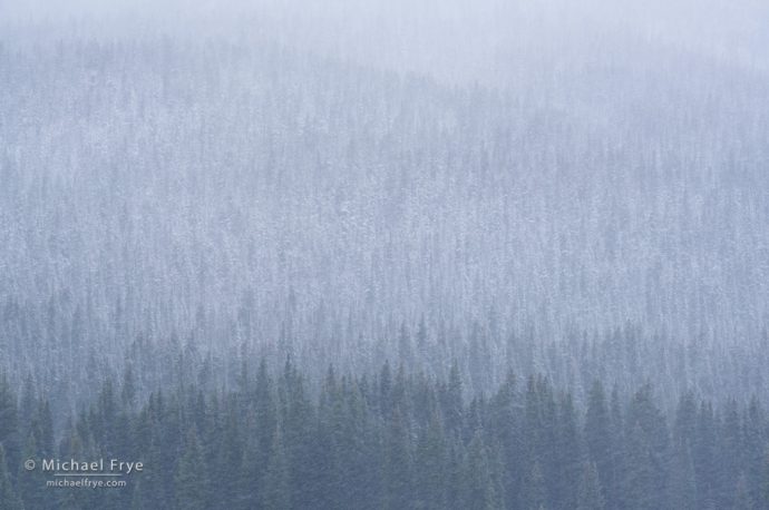 Snowstorm on Lizard Head Pass, Uncompahgre NF, CO, USA