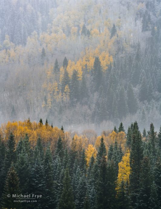 Aspens, conifers, and a dusting of snow, Uncompahgre NF, CO, USA