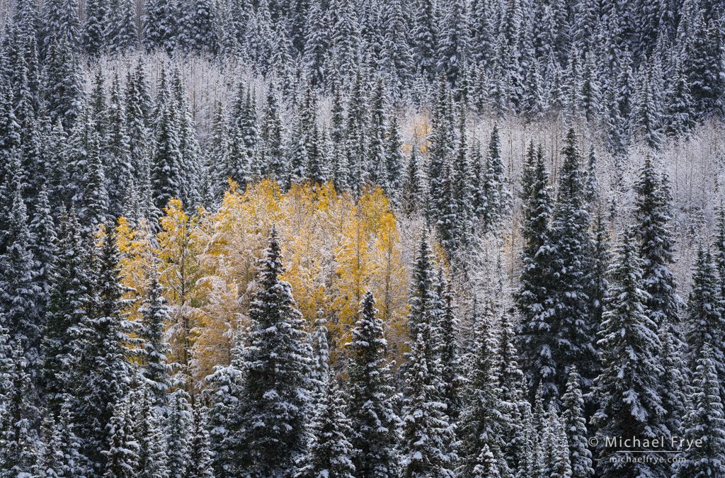 Autumn into Winter: Part Two