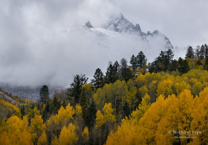 Aspens and Mt. Sneffels, Uncompahgre NF, CO, USA