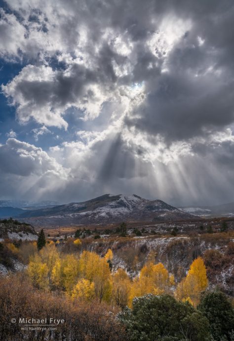 Sunbeams and aspens, Dallas Divide, CO, USA