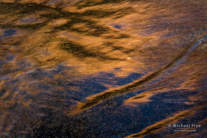 Cottonwood leaf and reflections, Utah, USA