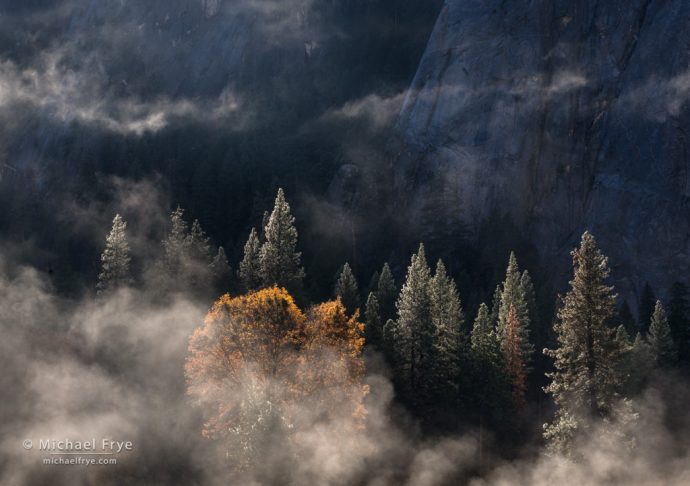 Mist, trees, and Middle Cathedral Rock, Yosemite NP, CA, USA