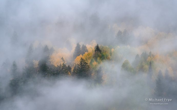 27. Autumn hillside in the fog, Colorado