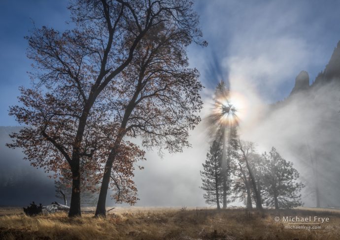 Backlight Photography, Mist, sunbeams, and corona, Yosemite NP, CA, USA