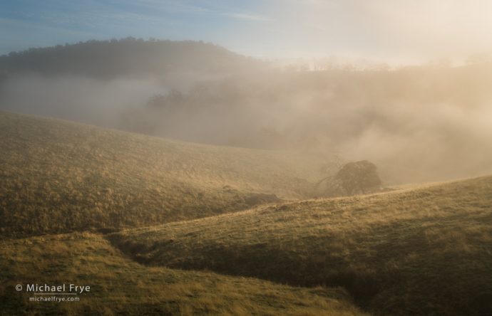 Grasslands, oaks, and fog, Sierra Nevada foothills, Mariposa County, CA, USA