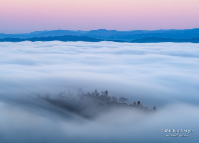 Fog in the Sierra foothills, Mariposa County, CA, USA