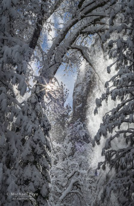 Snow falling from trees #1, Yosemite NP, CA, USA