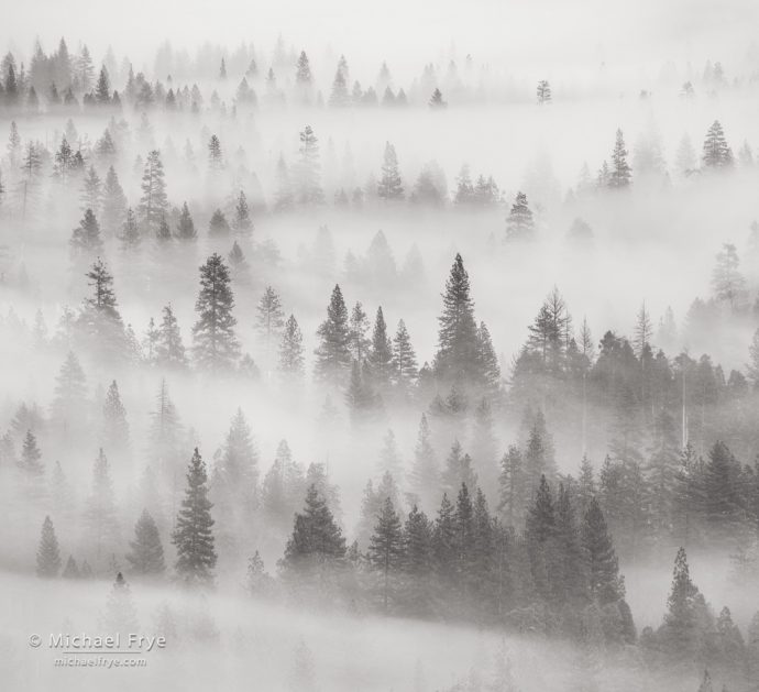 Misty trees from Tunnel View, Yosemite NP, CA, USA